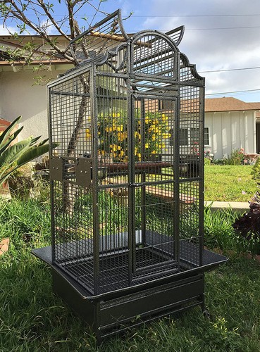 Large elegant bird parrot - 64",