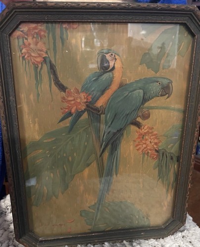Antique parrots macaw - macaw, exotic